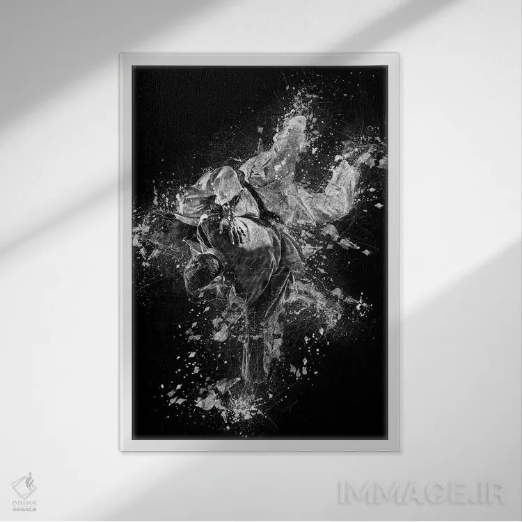 تابلو دکوراتیو پرتاب جودو اثر کورنل ولاد - نمای قابدار سفید