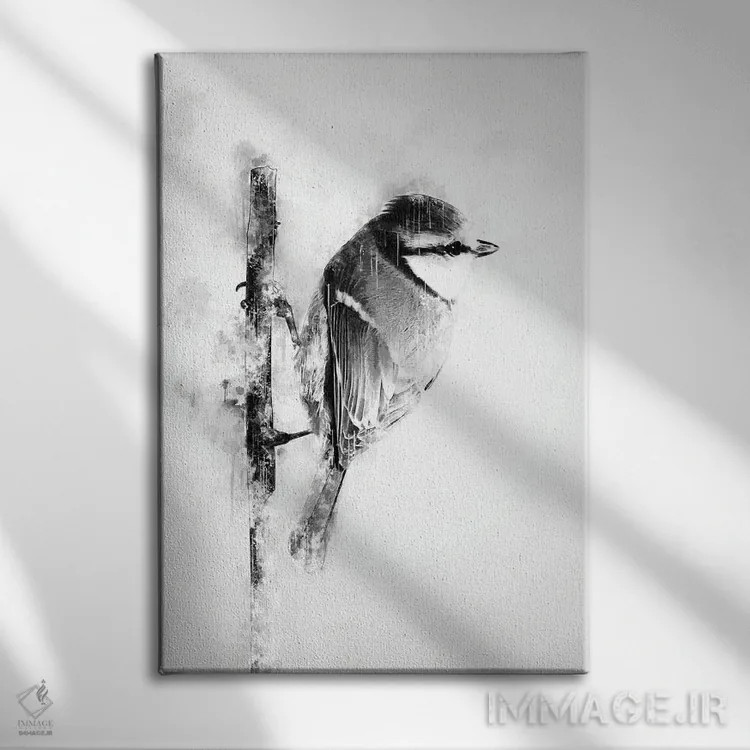 تابلو دکوراتیو پرنده روی شاخه در سیاه و سفید اثر کورنل ولاد - نمای روبهرو روی دیوار