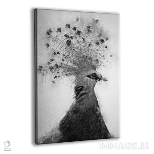 تابلو دکوراتیو قمری تاجدار ویکتوریا در سیاه و سفید اثر کورنل ولاد - نمای پرسپکتیو محصول