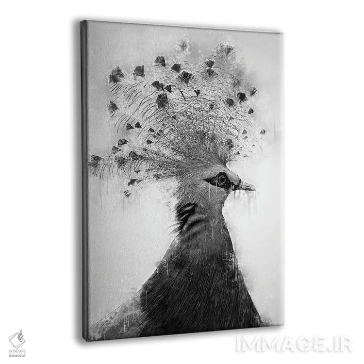 تابلو دکوراتیو قمری تاجدار ویکتوریا در سیاه و سفید اثر کورنل ولاد - نمای پرسپکتیو محصول