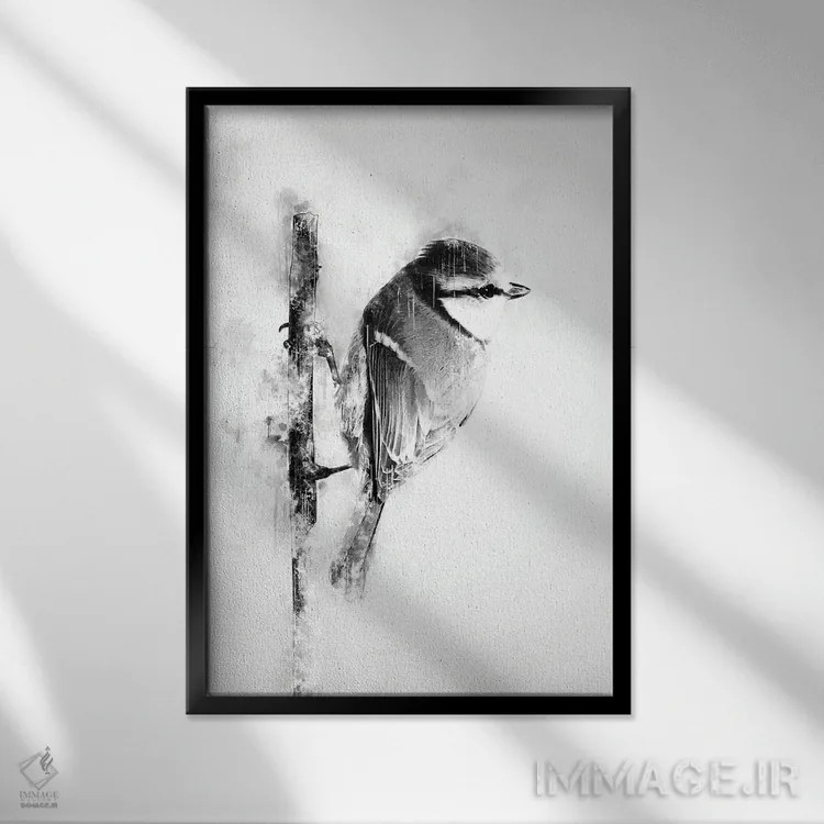 تابلو دکوراتیو پرنده روی شاخه در سیاه و سفید اثر کورنل ولاد - نمای قابدار مشکی