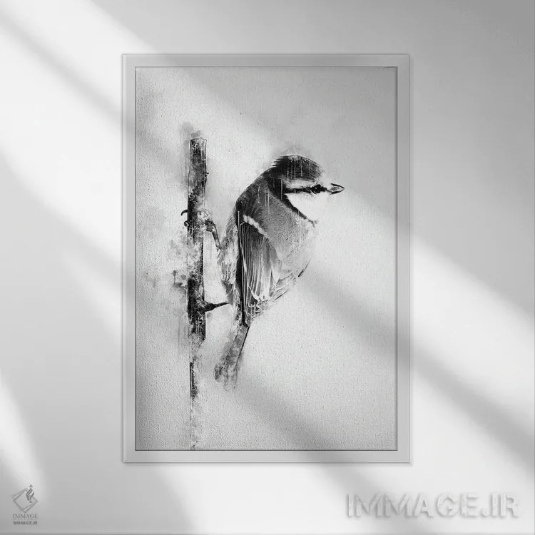 تابلو دکوراتیو پرنده روی شاخه در سیاه و سفید اثر کورنل ولاد - نمای قابدار سفید