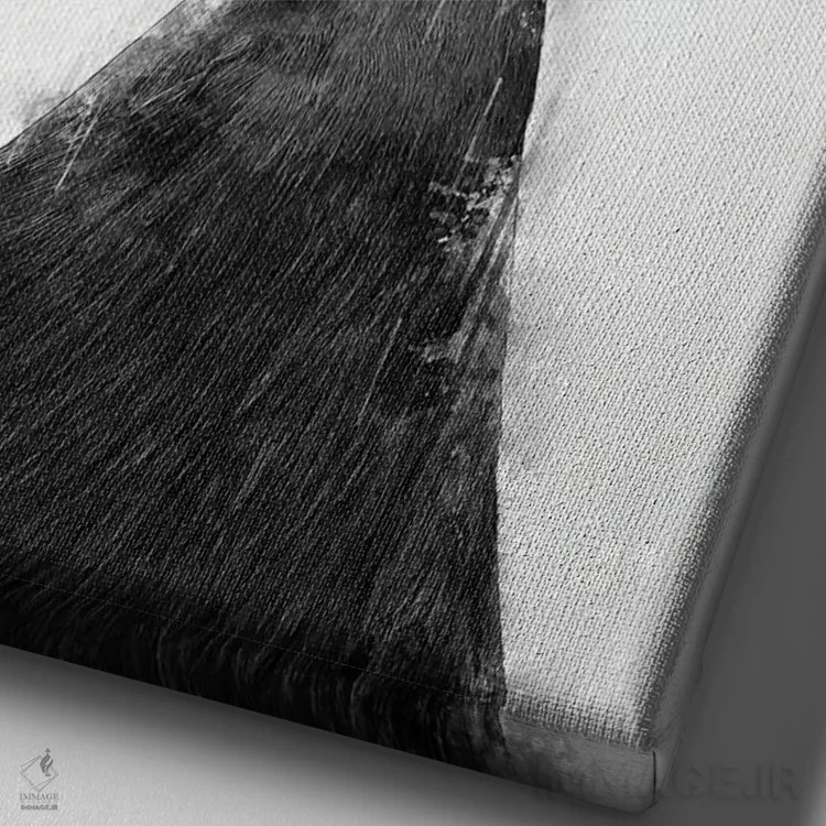 تابلو دکوراتیو قمری تاجدار ویکتوریا در سیاه و سفید اثر کورنل ولاد - نمای نزدیک بافت بوم