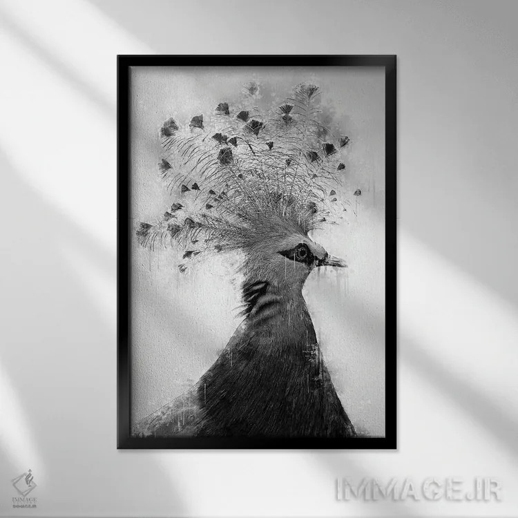 تابلو دکوراتیو قمری تاجدار ویکتوریا در سیاه و سفید اثر کورنل ولاد - نمای قابدار مشکی