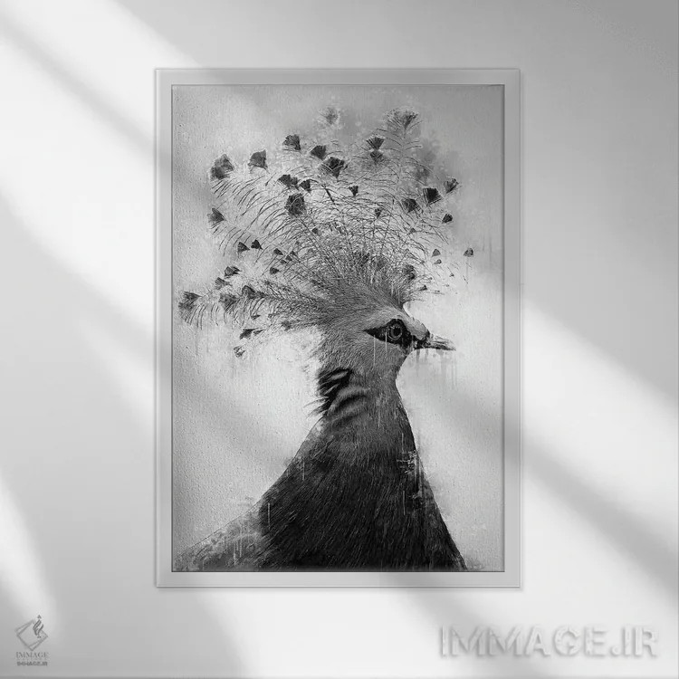 تابلو دکوراتیو قمری تاجدار ویکتوریا در سیاه و سفید اثر کورنل ولاد - نمای قابدار سفید