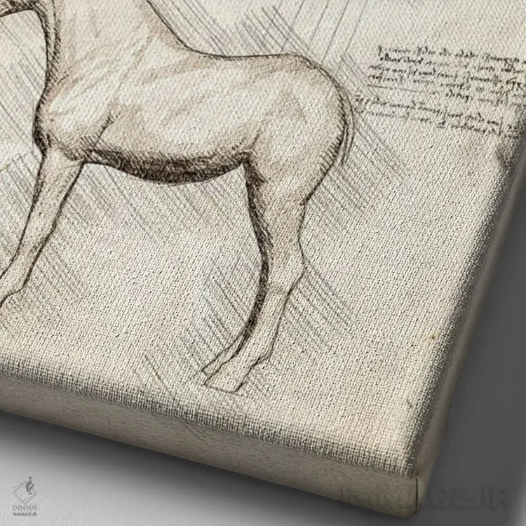 تابلو دکوراتیو کالبدشناسی اسب اثر کورنل ولاد - نمای نزدیک بافت بوم