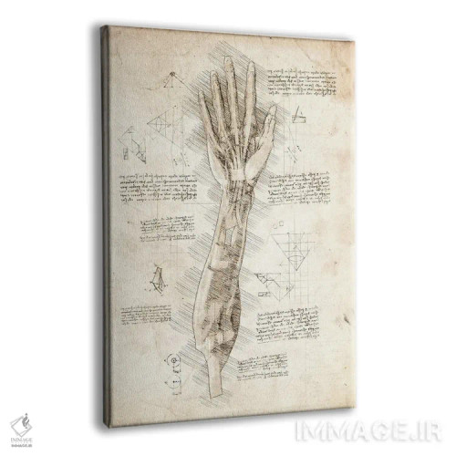 تابلو دکوراتیو کالبدشناسی دست انسان اثر کورنل ولاد - نمای پرسپکتیو محصول