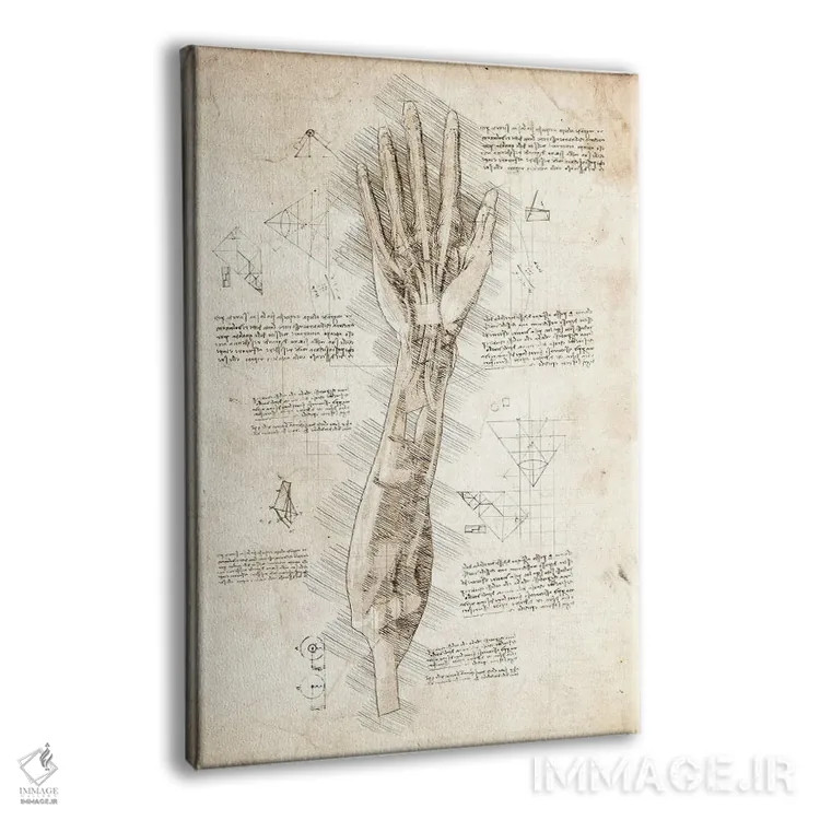 تابلو دکوراتیو کالبدشناسی دست انسان اثر کورنل ولاد - نمای پرسپکتیو محصول