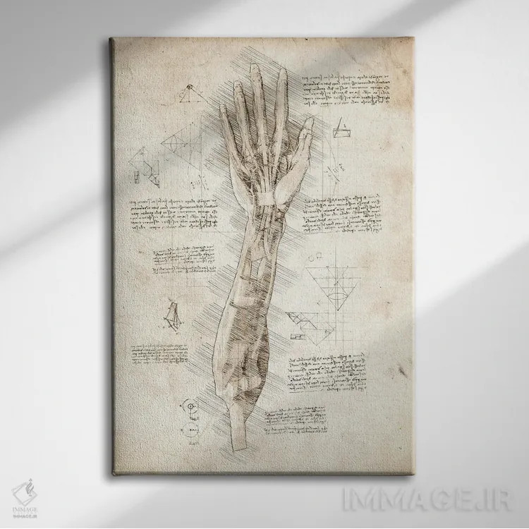 تابلو دکوراتیو کالبدشناسی دست انسان اثر کورنل ولاد - نمای روبهرو روی دیوار
