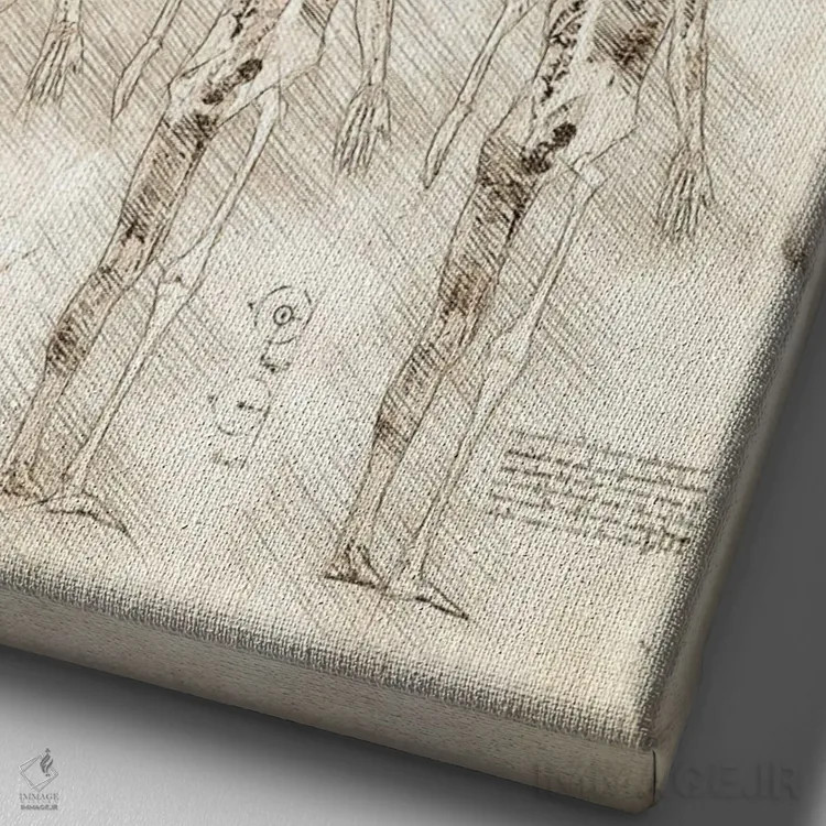 تابلو دکوراتیو عضلات و اسکلت انسان اثر کورنل ولاد - نمای نزدیک بافت بوم