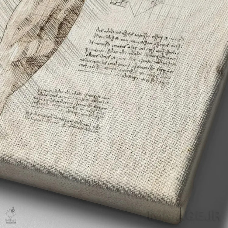 تابلو دکوراتیو کالبدشناسی دست انسان اثر کورنل ولاد - نمای نزدیک بافت بوم