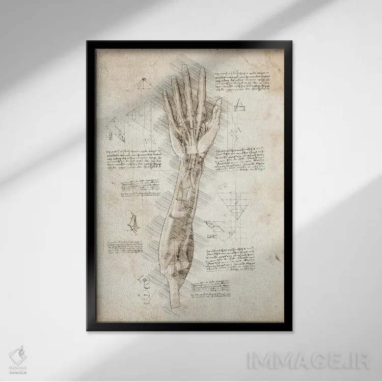 تابلو دکوراتیو کالبدشناسی دست انسان اثر کورنل ولاد - نمای قابدار مشکی