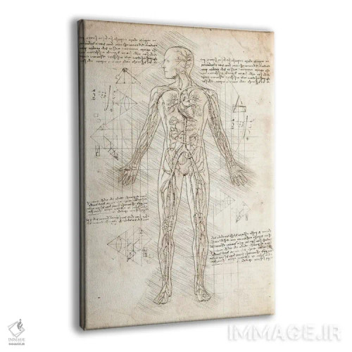 تابلو دکوراتیو دستگاه گردش خون انسان اثر کورنل ولاد - نمای پرسپکتیو محصول