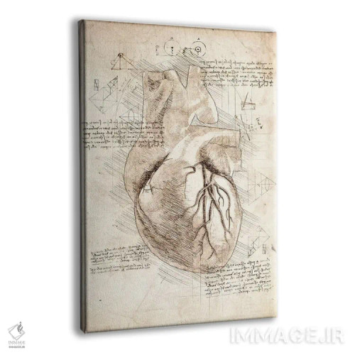 تابلو دکوراتیو قلب انسان اثر کورنل ولاد - نمای پرسپکتیو محصول