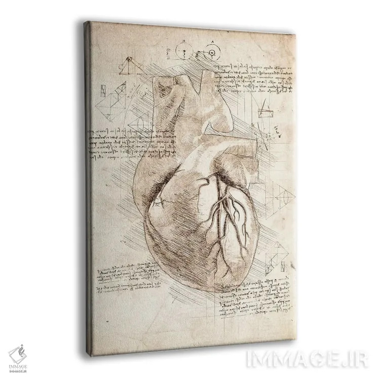 تابلو دکوراتیو قلب انسان اثر کورنل ولاد - نمای پرسپکتیو محصول