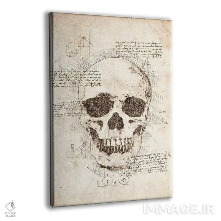 تابلو دکوراتیو جمجمه انسان اثر کورنل ولاد - نمای پرسپکتیو محصول
