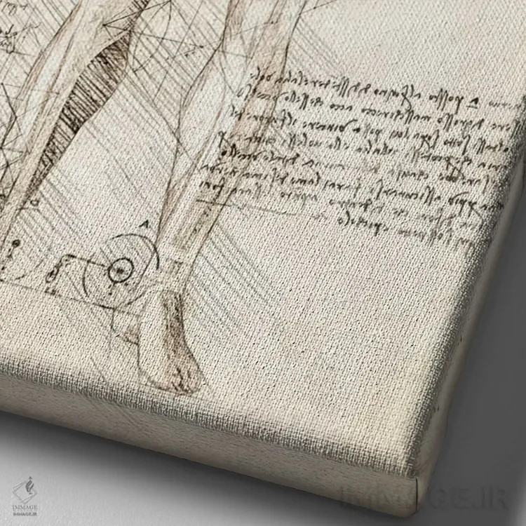 تابلو دکوراتیو کالبدشناسی عضلات مرد انسان اثر کورنل ولاد - نمای نزدیک بافت بوم