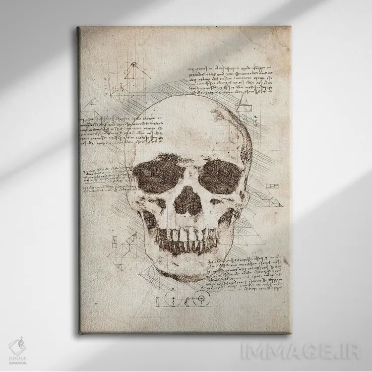 تابلو دکوراتیو جمجمه انسان اثر کورنل ولاد - نمای روبهرو روی دیوار