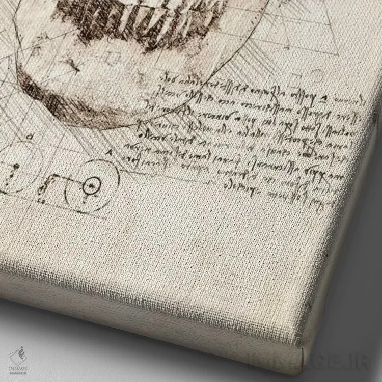 تابلو دکوراتیو جمجمه انسان اثر کورنل ولاد - نمای نزدیک بافت بوم