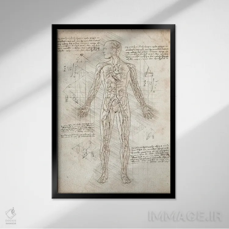 تابلو دکوراتیو دستگاه گردش خون انسان اثر کورنل ولاد - نمای قابدار مشکی