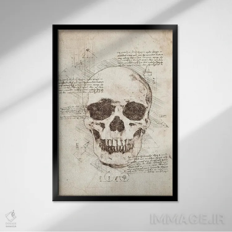 تابلو دکوراتیو جمجمه انسان اثر کورنل ولاد - نمای قابدار مشکی