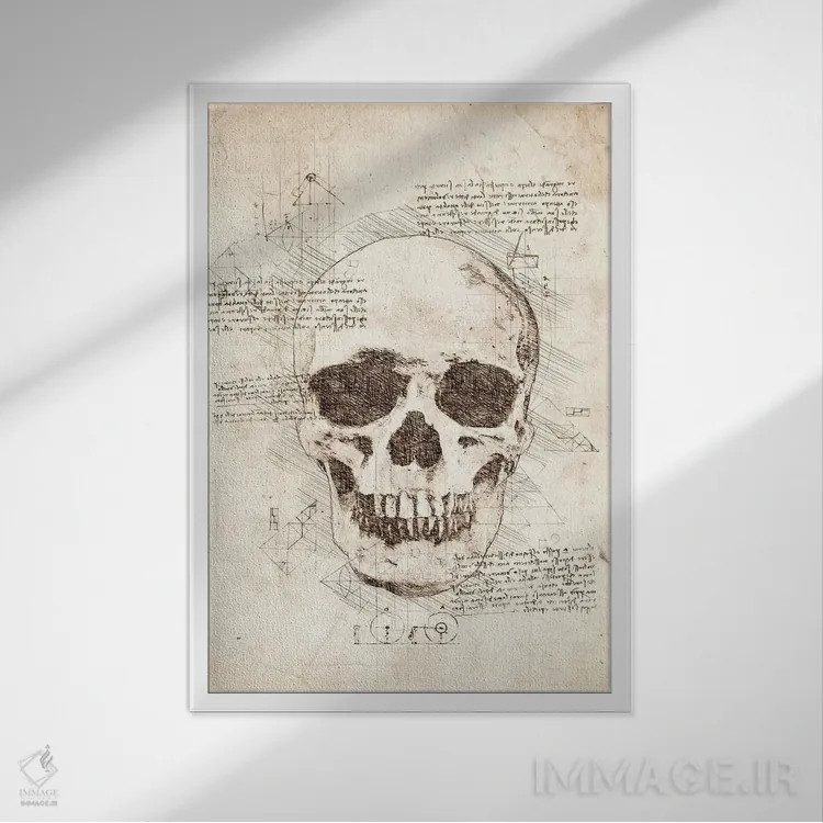 تابلو دکوراتیو جمجمه انسان اثر کورنل ولاد - نمای قابدار سفید
