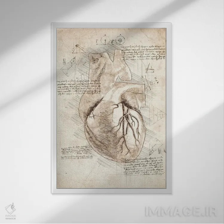 تابلو دکوراتیو قلب انسان اثر کورنل ولاد - نمای قابدار سفید