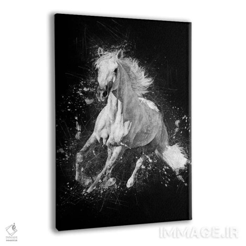 تابلو دکوراتیو اسب در حال دویدن اثر کورنل ولاد - نمای پرسپکتیو محصول
