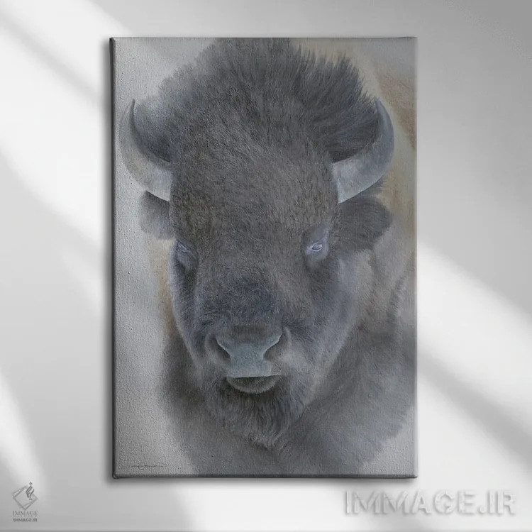 تابلو دکوراتیو گاو کوهان دار بزرگ اثر جیمز کوروین - نمای روبهرو روی دیوار