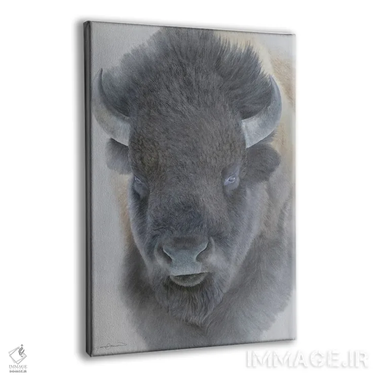 تابلو دکوراتیو گاو کوهان دار بزرگ اثر جیمز کوروین - نمای پرسپکتیو محصول