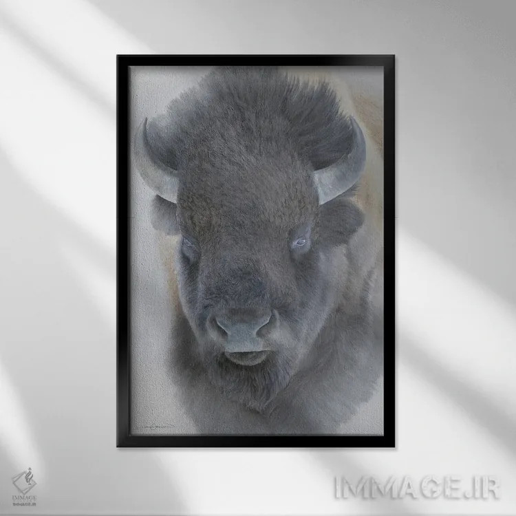 تابلو دکوراتیو گاو کوهان دار بزرگ اثر جیمز کوروین - نمای قابدار مشکی