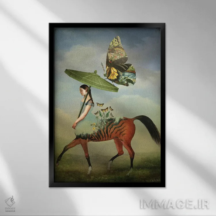 تابلو دکوراتیو پروانه ها اثر کاترین ولز-استاین - نمای قابدار مشکی