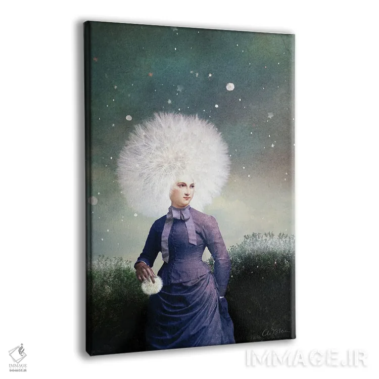 تابلو دکوراتیو گلوله برفی اثر کاترین ولز-استاین - نمای پرسپکتیو محصول