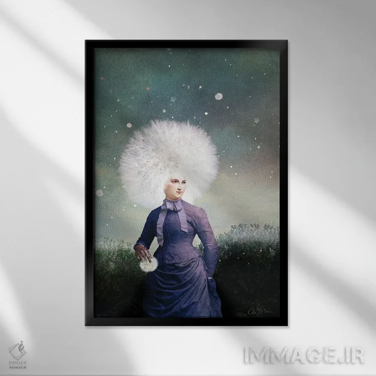 تابلو دکوراتیو گلوله برفی اثر کاترین ولز-استاین - نمای قابدار مشکی