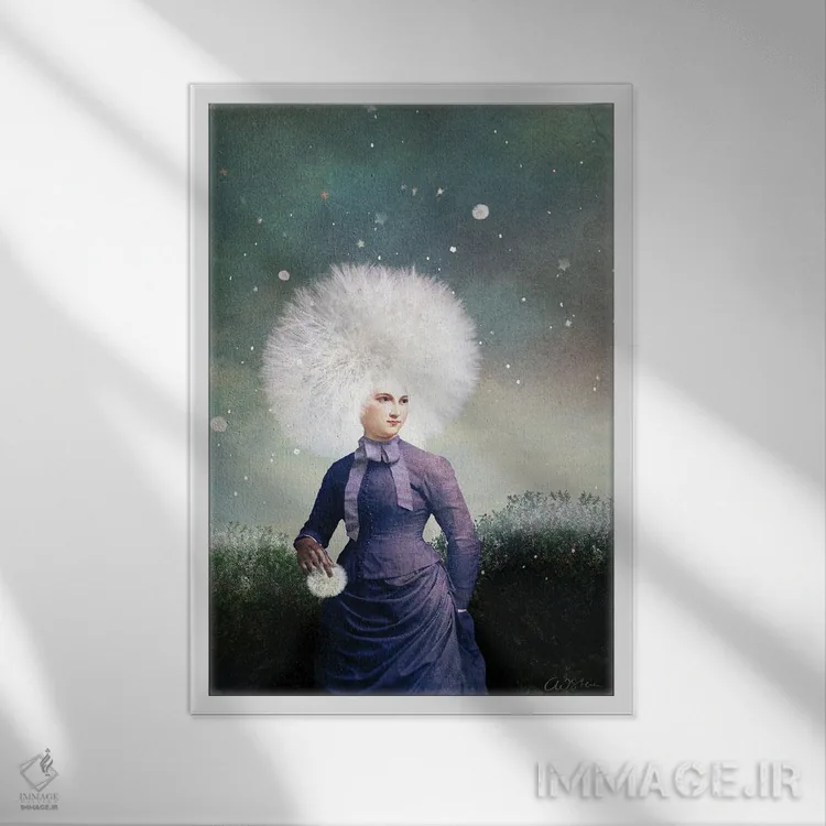 تابلو دکوراتیو گلوله برفی اثر کاترین ولز-استاین - نمای قابدار سفید