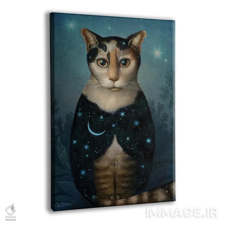 تابلو دکوراتیو گربه نیمه شب اثر کاترین ولز-استاین - نمای پرسپکتیو محصول