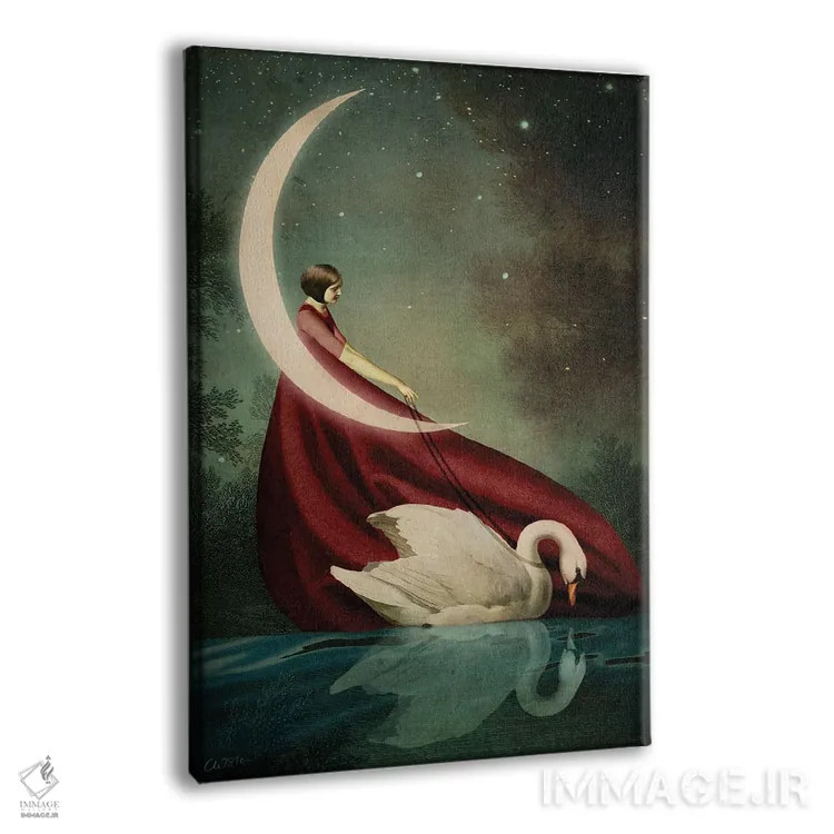 تابلو دکوراتیو سایه های مهتاب اثر کاترین ولز-استاین - نمای پرسپکتیو محصول