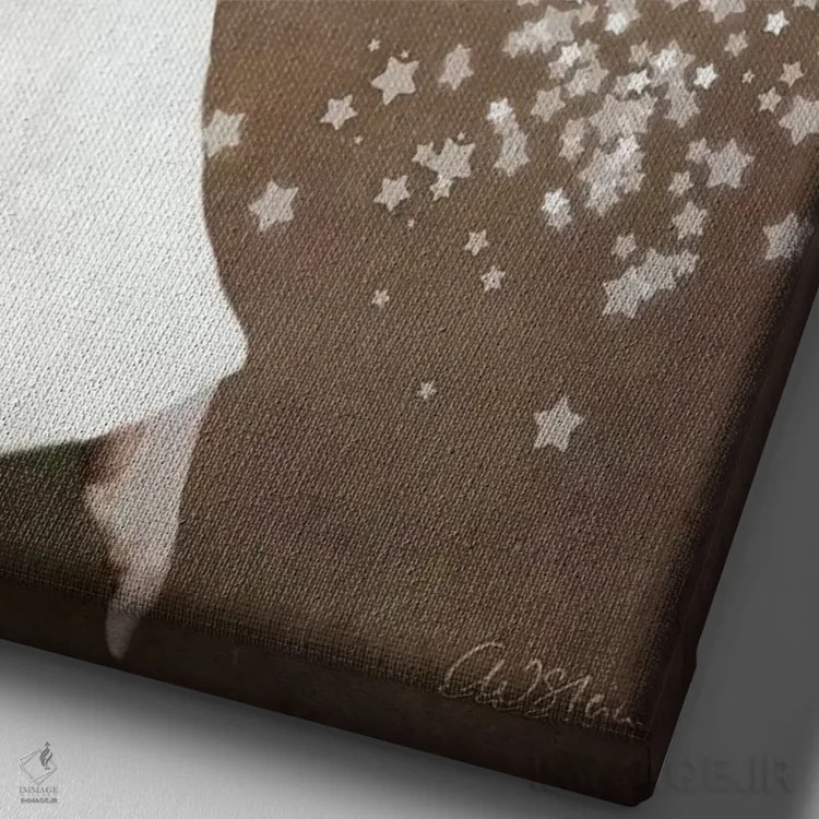 تابلو دکوراتیو پری ستاره ای اثر کاترین ولز-استاین - نمای نزدیک بافت بوم