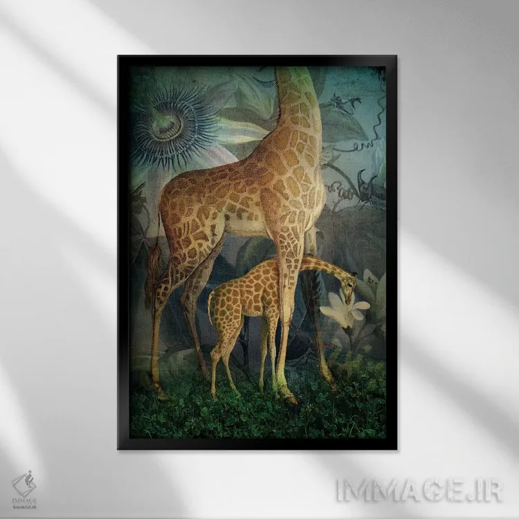 تابلو دکوراتیو زندگی جنگلی اثر کاترین ولز-استاین - نمای قابدار مشکی