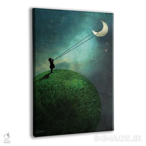 تابلو دکوراتیو دنبال کردن ماه اثر کاترین ولز-استاین - نمای پرسپکتیو محصول