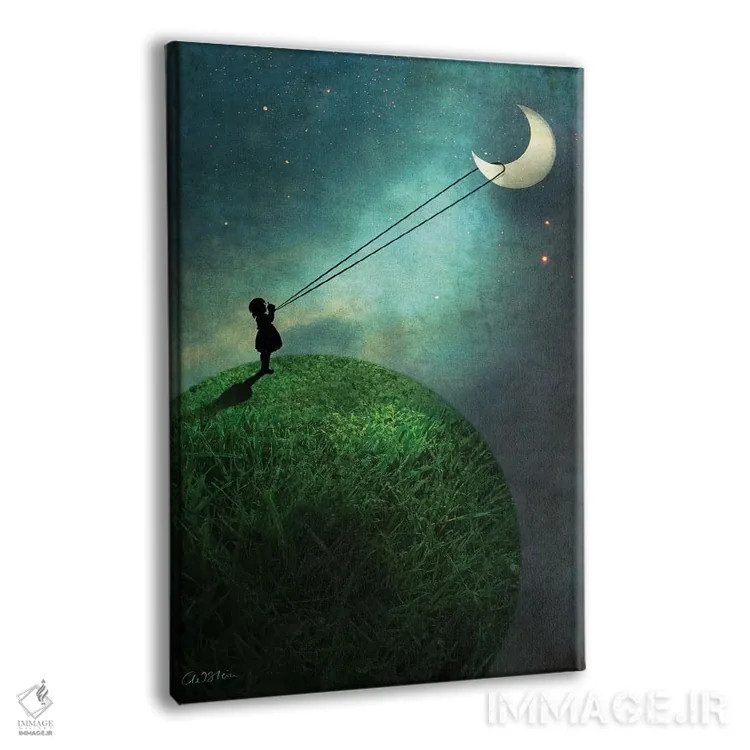 تابلو دکوراتیو دنبال کردن ماه اثر کاترین ولز-استاین - نمای پرسپکتیو محصول
