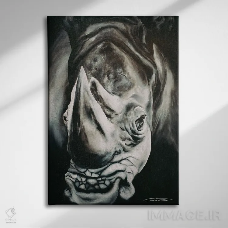 تابلو دکوراتیو کرگدن ۲ اثر چنس وات - نمای روبهرو روی دیوار