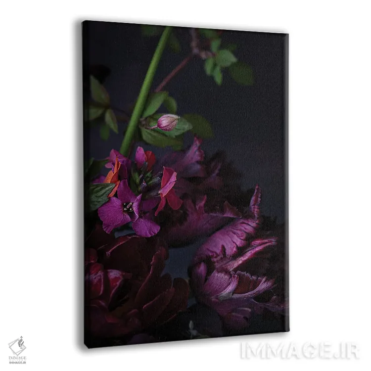 تابلو دکوراتیو لاله های طوطی سیاه اثر کورنلیا وبر - نمای پرسپکتیو محصول