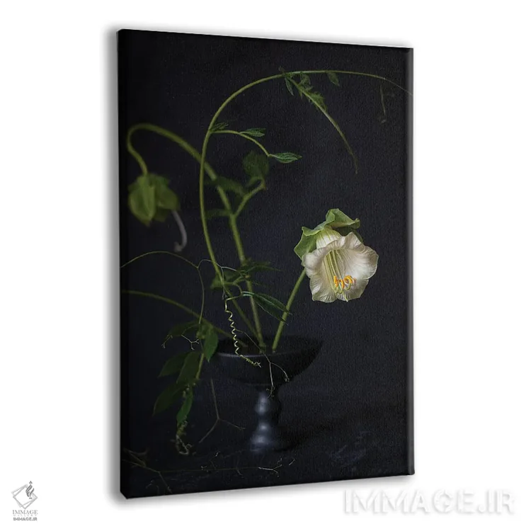 تابلو دکوراتیو کوبیا اسکندنس اثر کورنلیا وبر - نمای پرسپکتیو محصول