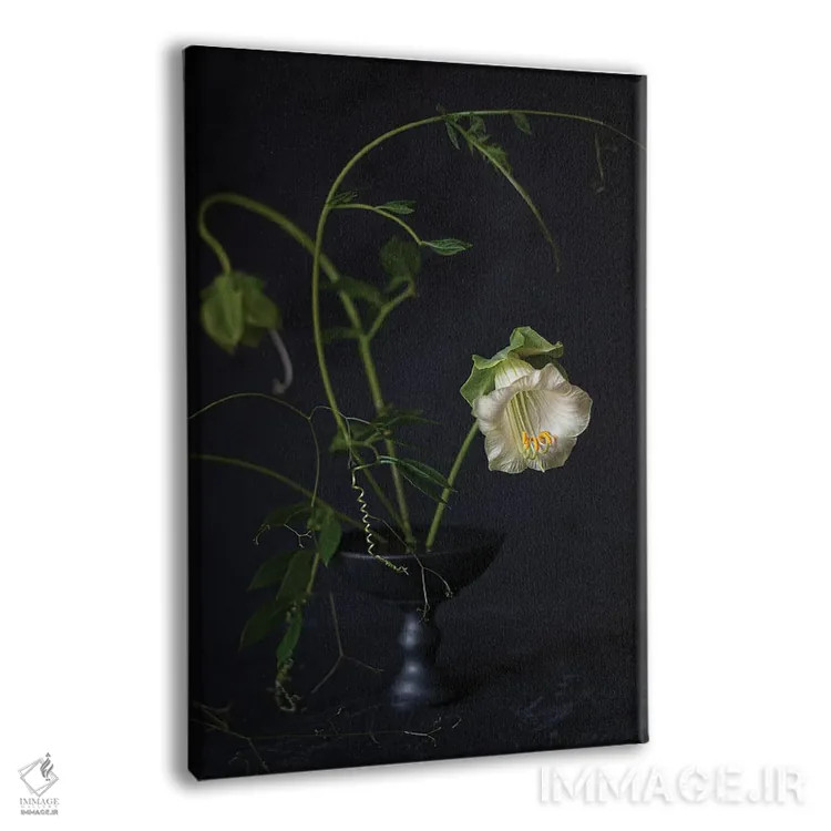 تابلو دکوراتیو کوبیا اسکندنس اثر کورنلیا وبر - نمای پرسپکتیو محصول