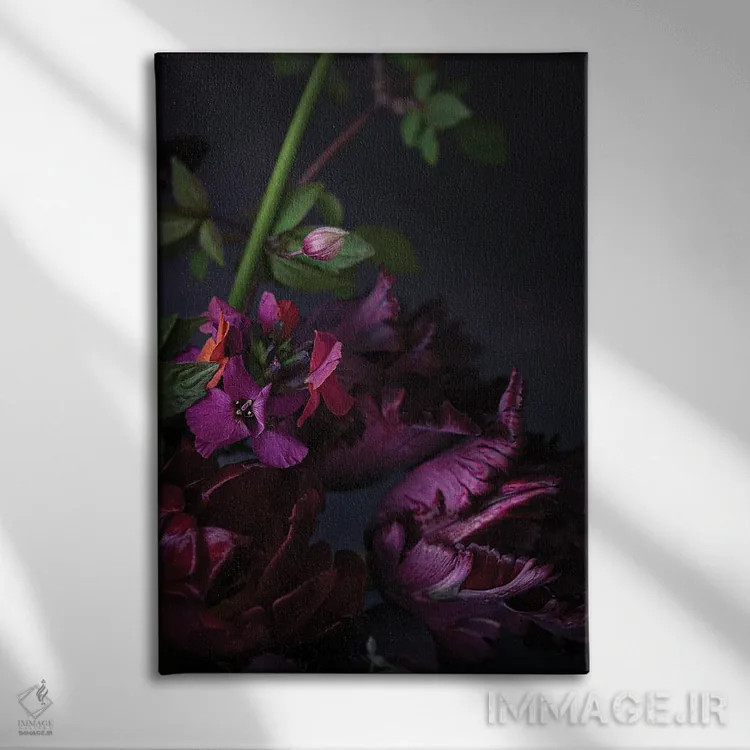 تابلو دکوراتیو لاله های طوطی سیاه اثر کورنلیا وبر - نمای روبهرو روی دیوار