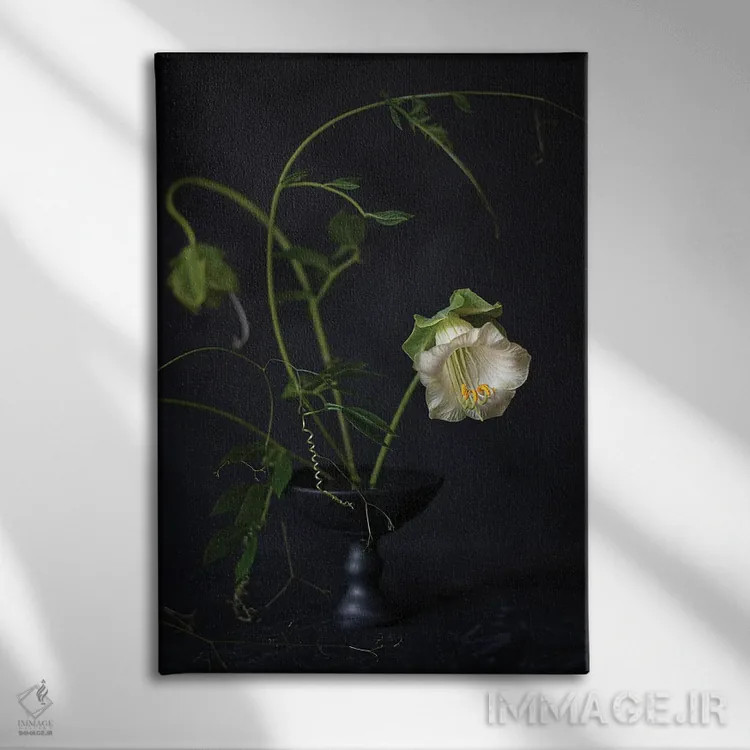 تابلو دکوراتیو کوبیا اسکندنس اثر کورنلیا وبر - نمای روبهرو روی دیوار