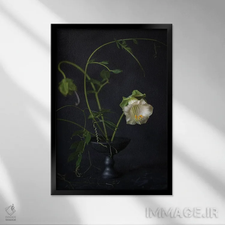 تابلو دکوراتیو کوبیا اسکندنس اثر کورنلیا وبر - نمای قابدار مشکی