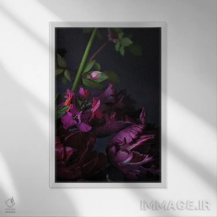 تابلو دکوراتیو لاله های طوطی سیاه اثر کورنلیا وبر - نمای قابدار سفید