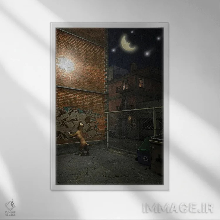 تابلو دکوراتیو هنگامی که ستاره ها در شهر فرو می ریزند اثر سینتیا دکر - نمای قابدار سفید